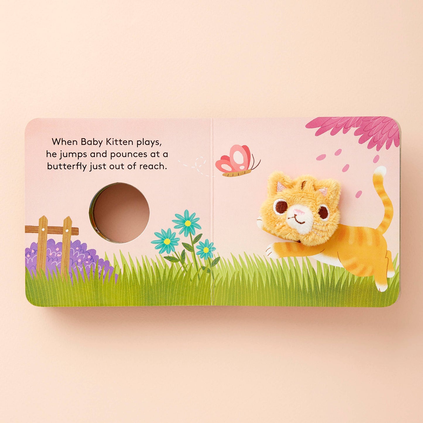 Baby Kitten Chronicle Books