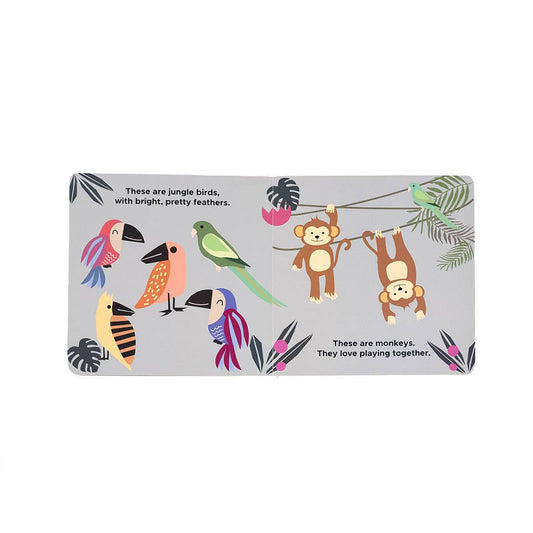 Zoo Friends Animal Children's Board Book Emerson and Friends