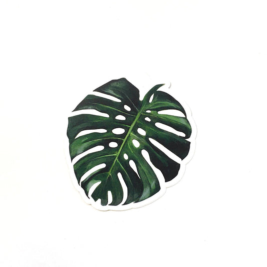 Monstera Leaf Vinyl Plant Sticker