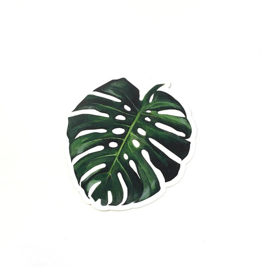 Monstera Leaf Vinyl Plant Sticker Pergamo Paper Goods
