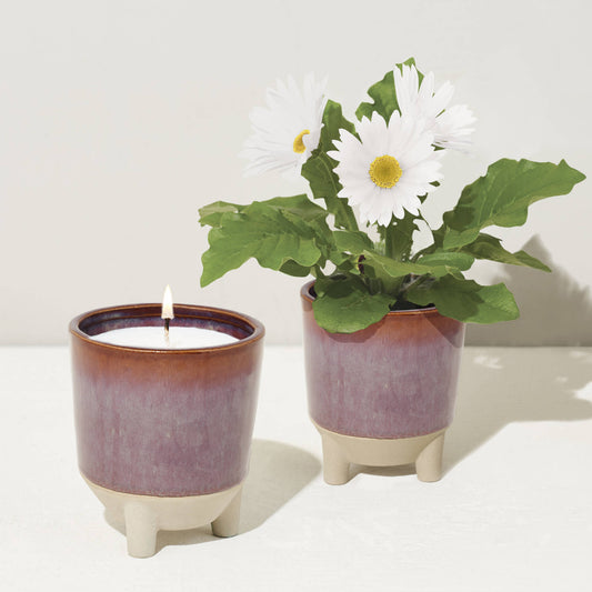 Glow & Grow 2-in-1 Candle + Grow Kit Modern Sprout