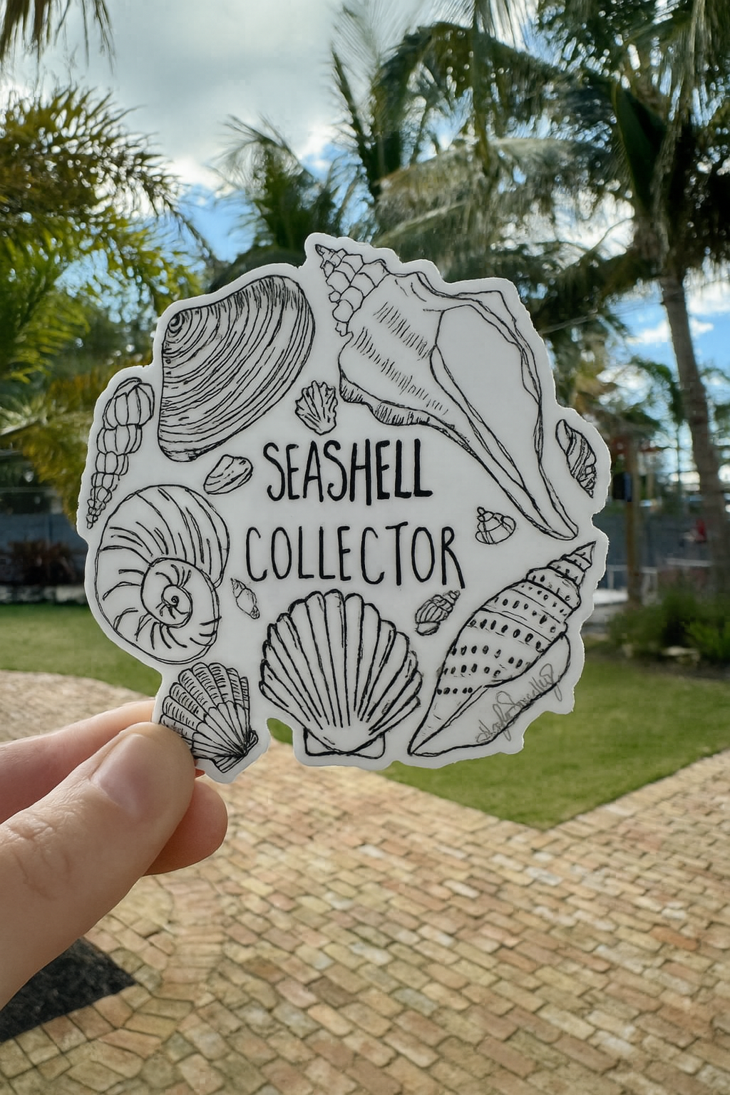 Seashell Collector Sticker Art By Hayle