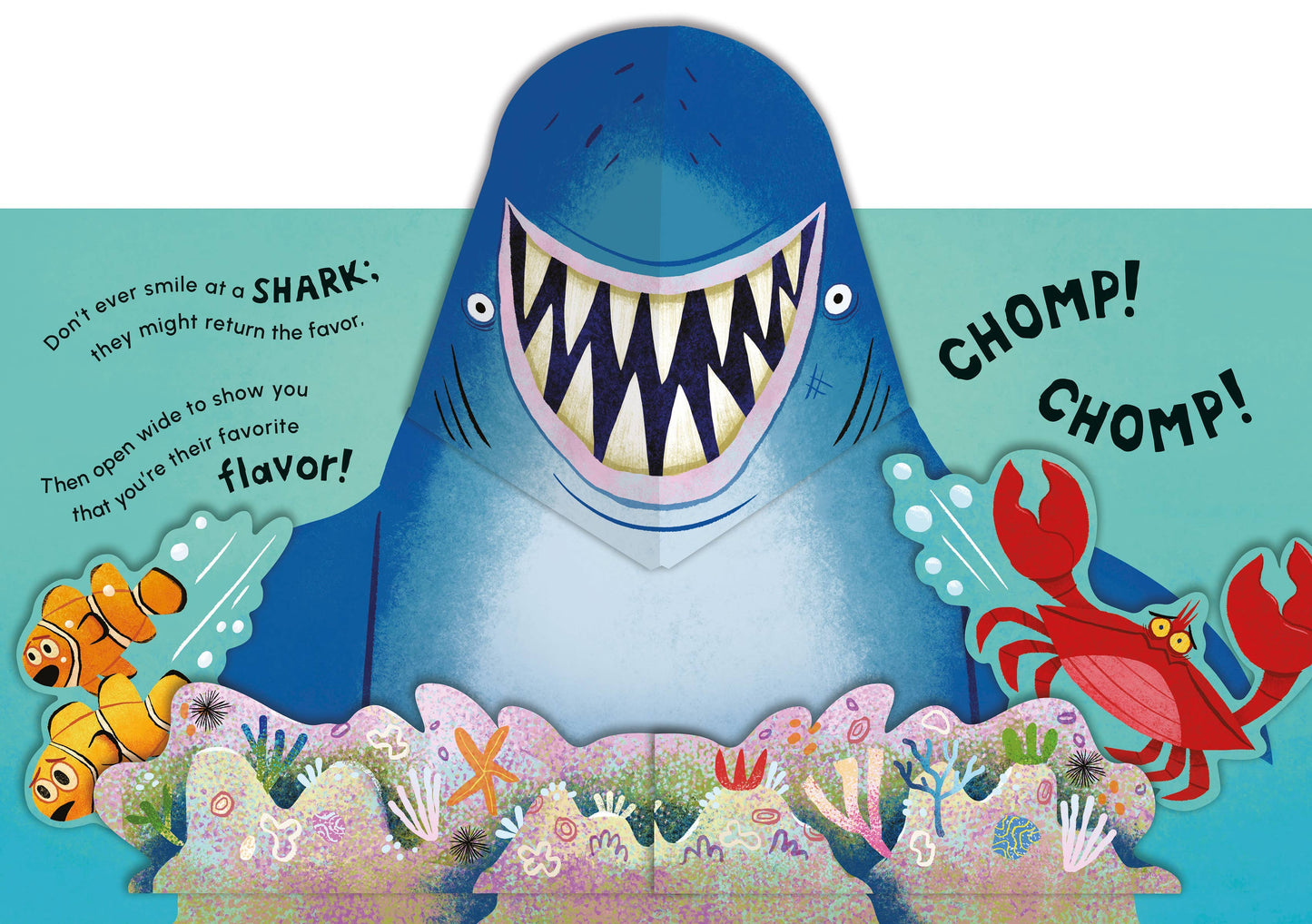 Don't Ever Smile at a Shark: A Fin-Tastic Pop-Up Book Hachette Book Group