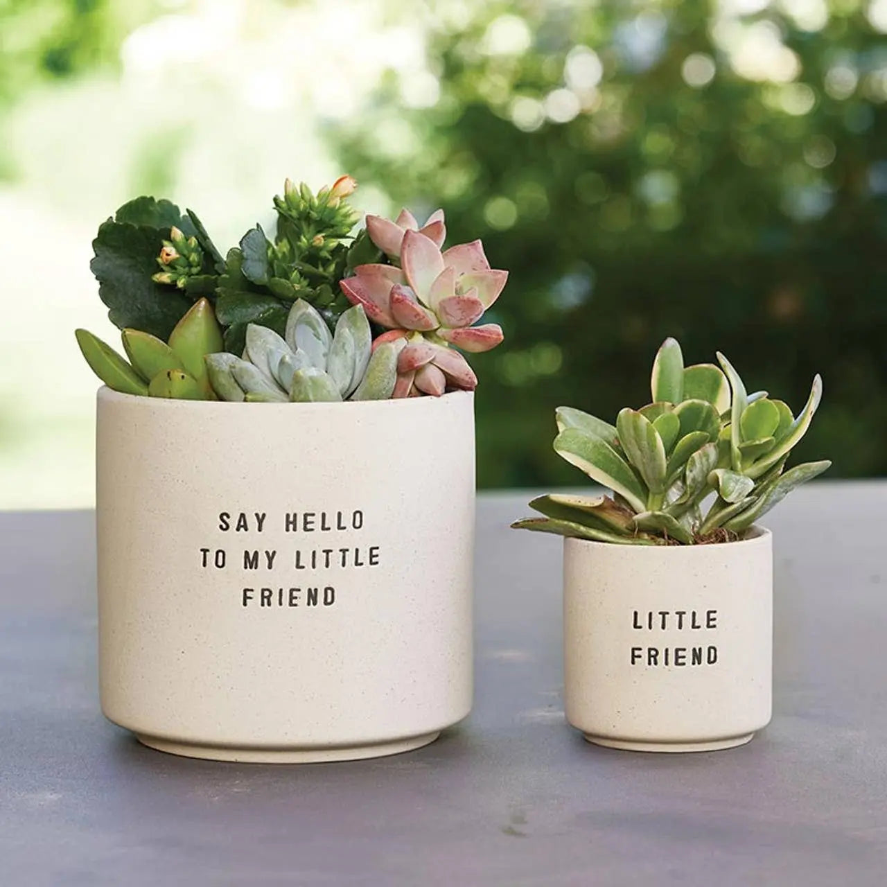 Ceramic Planting Pots - Set of 2 Santa Barbara Design Studio by Creative Brands