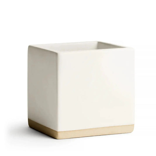 Little Notes® Ceramic Holder l White E. Frances Paper