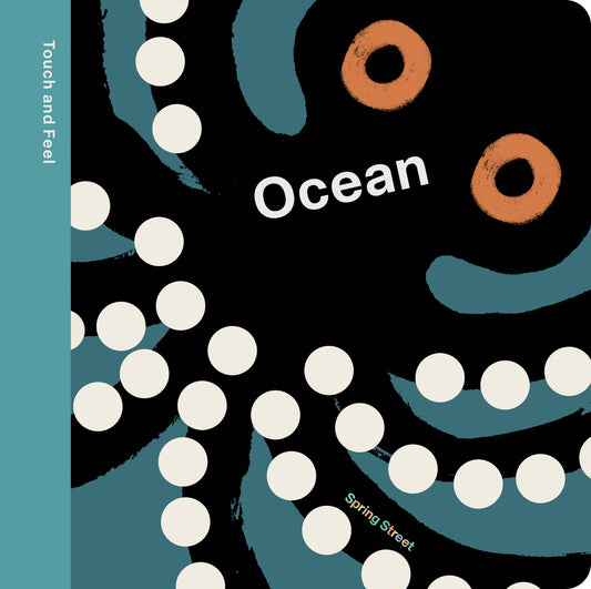 Spring Street Touch and Feel: Ocean by Boxer Books Hachette Book Group
