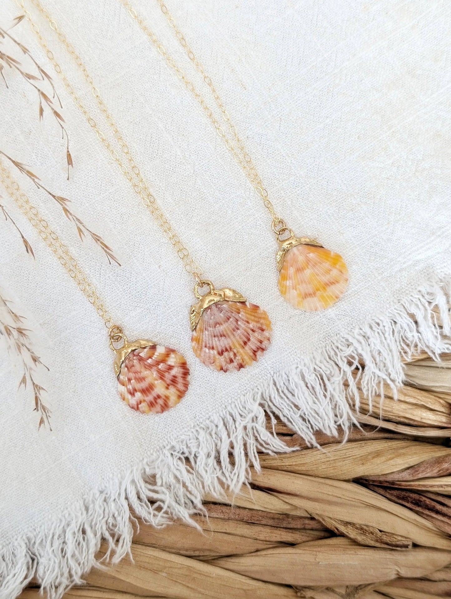 14k gold dipped calico scallop shell necklace From The Sea & Me