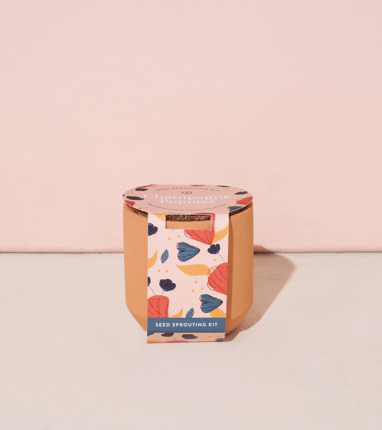 Tiny Terracotta Grow Kits Modern Sprout
