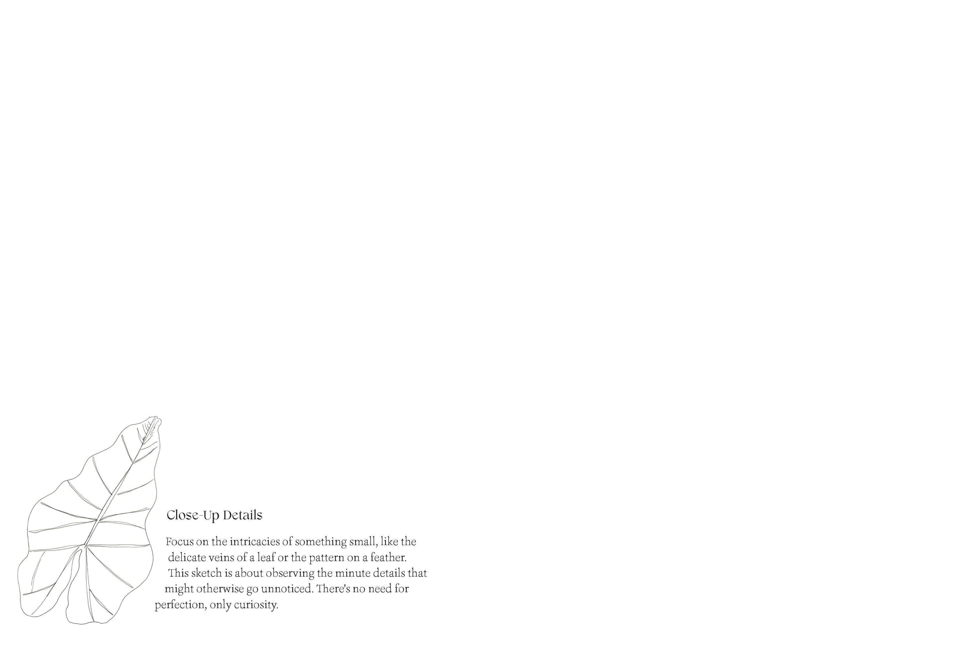 Quiet Moments: A Guided Sketchbook Chronicle Books