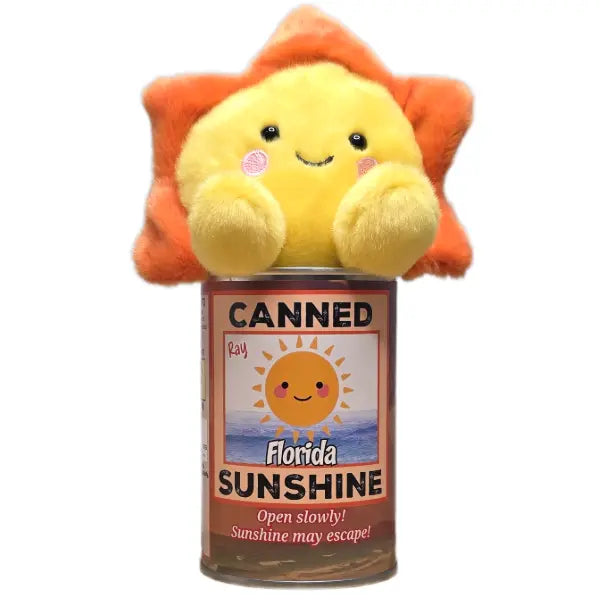 Ray the Canned Sunshine - Sun Plush Canned Gifts