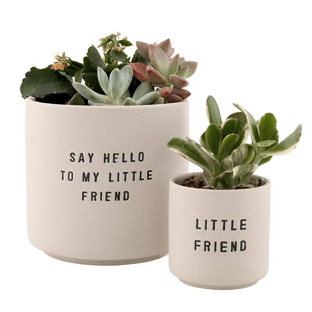 Ceramic Planting Pots - Set of 2