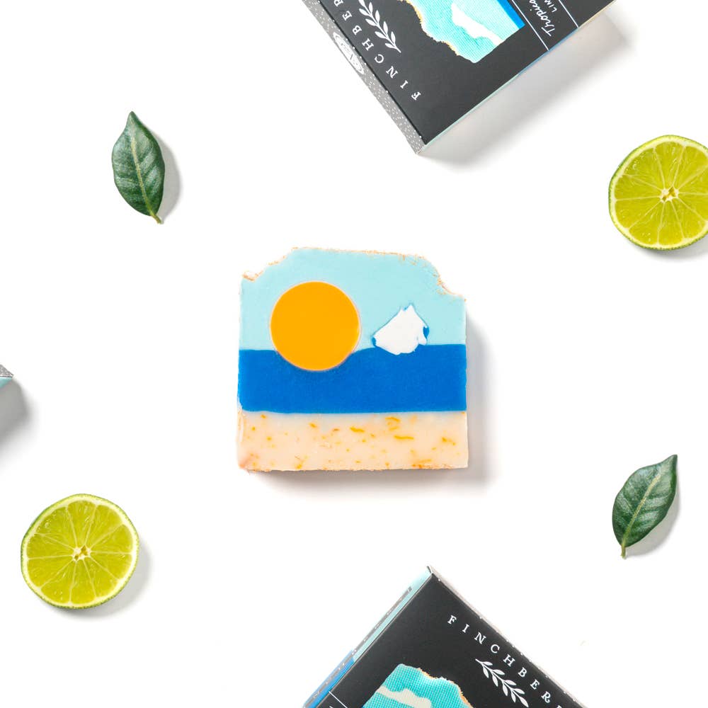 Tropical Sunshine Vegan-friendly Gluten-free Boxed Soap FinchBerry