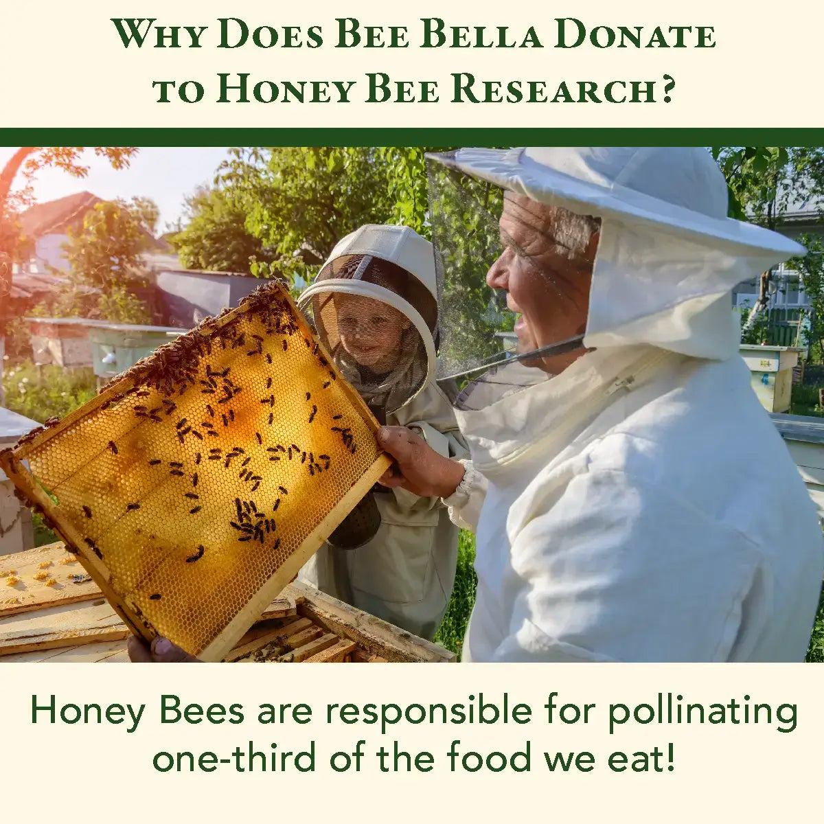 Vanilla Bean Lip Balm Bee Bella