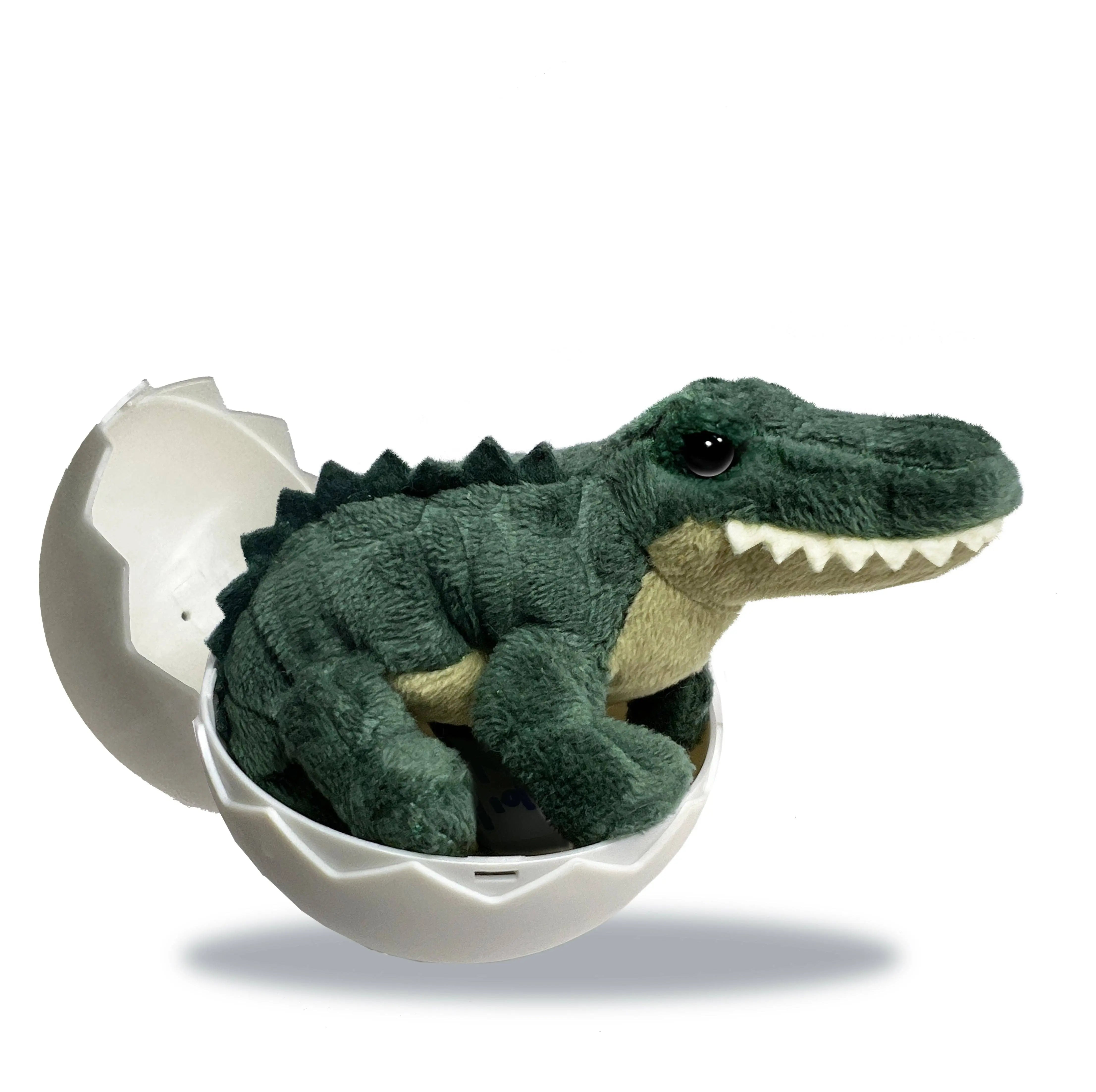 Alligator Hatchling Individual Eggs