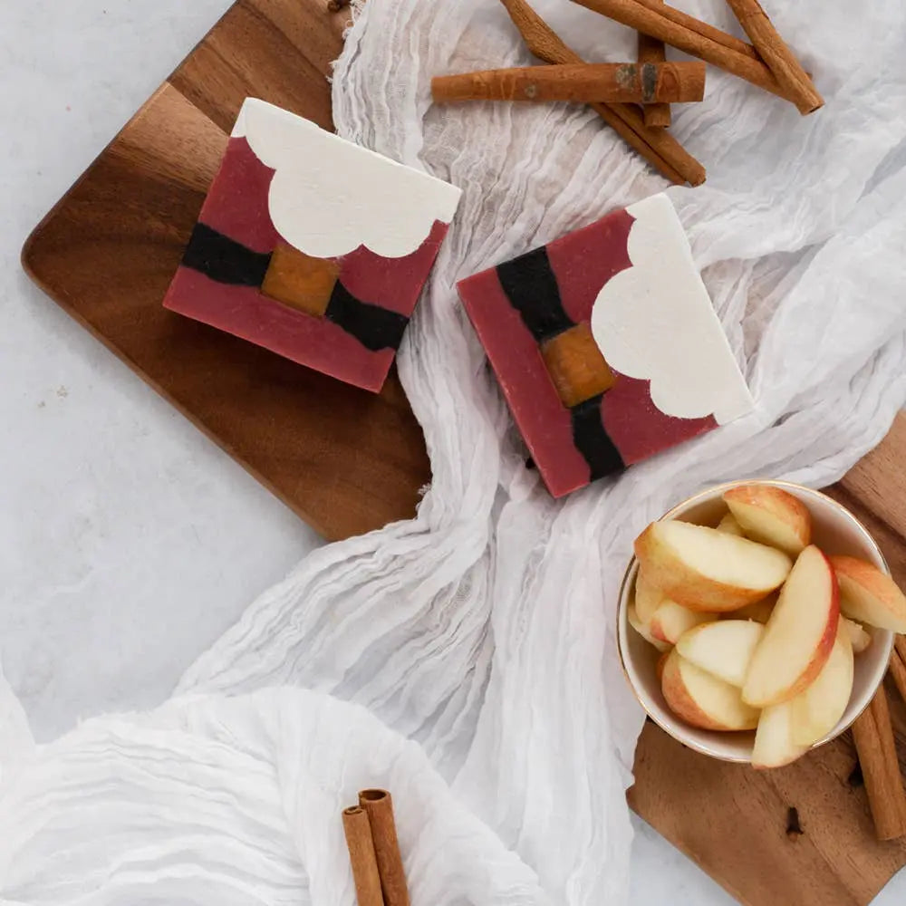 Santa Stocking Stuffer Vegan-Friendly Holiday Boxed Soap FinchBerry