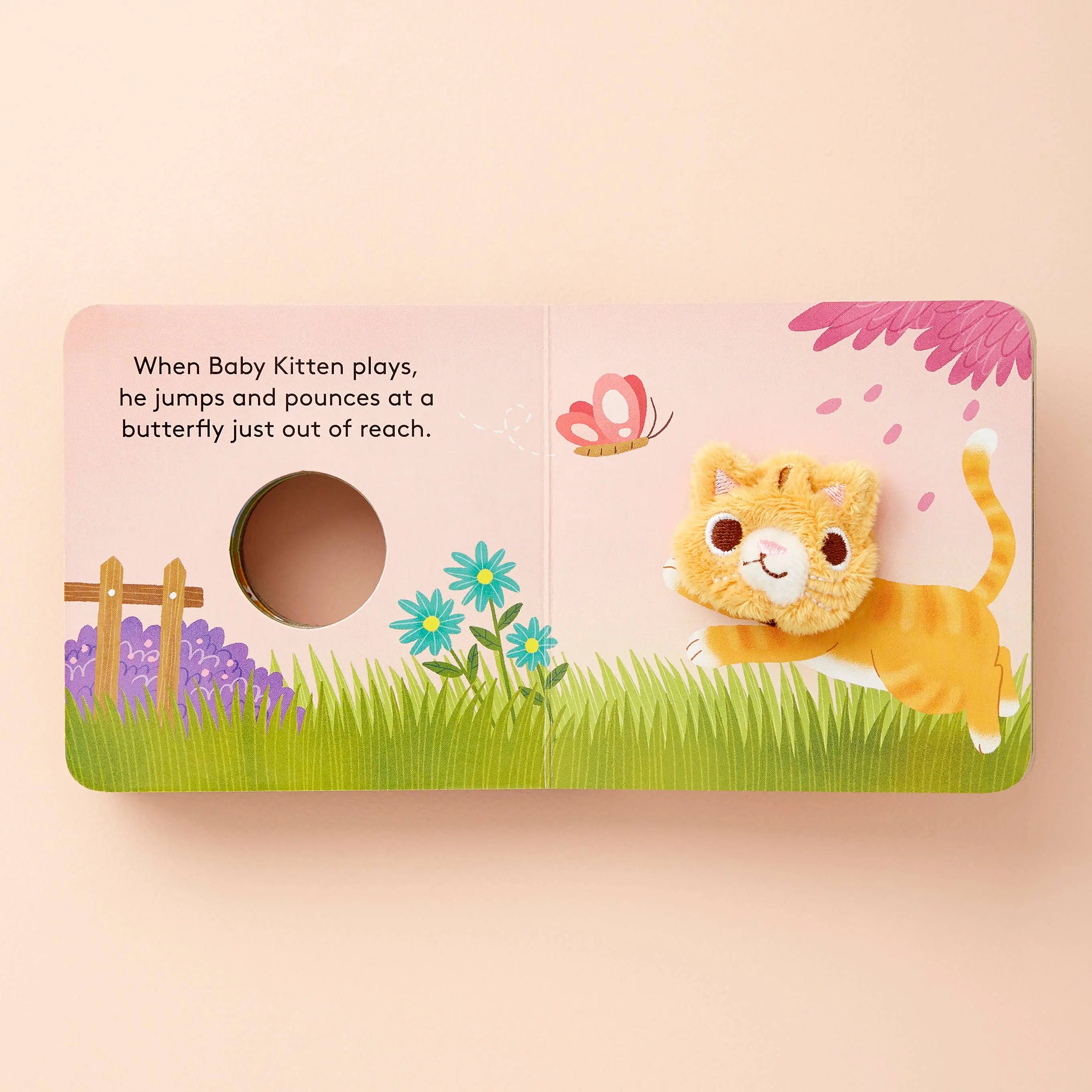 Baby Kitten Chronicle Books
