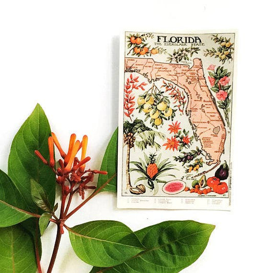 Vintage Florida Map Sticker