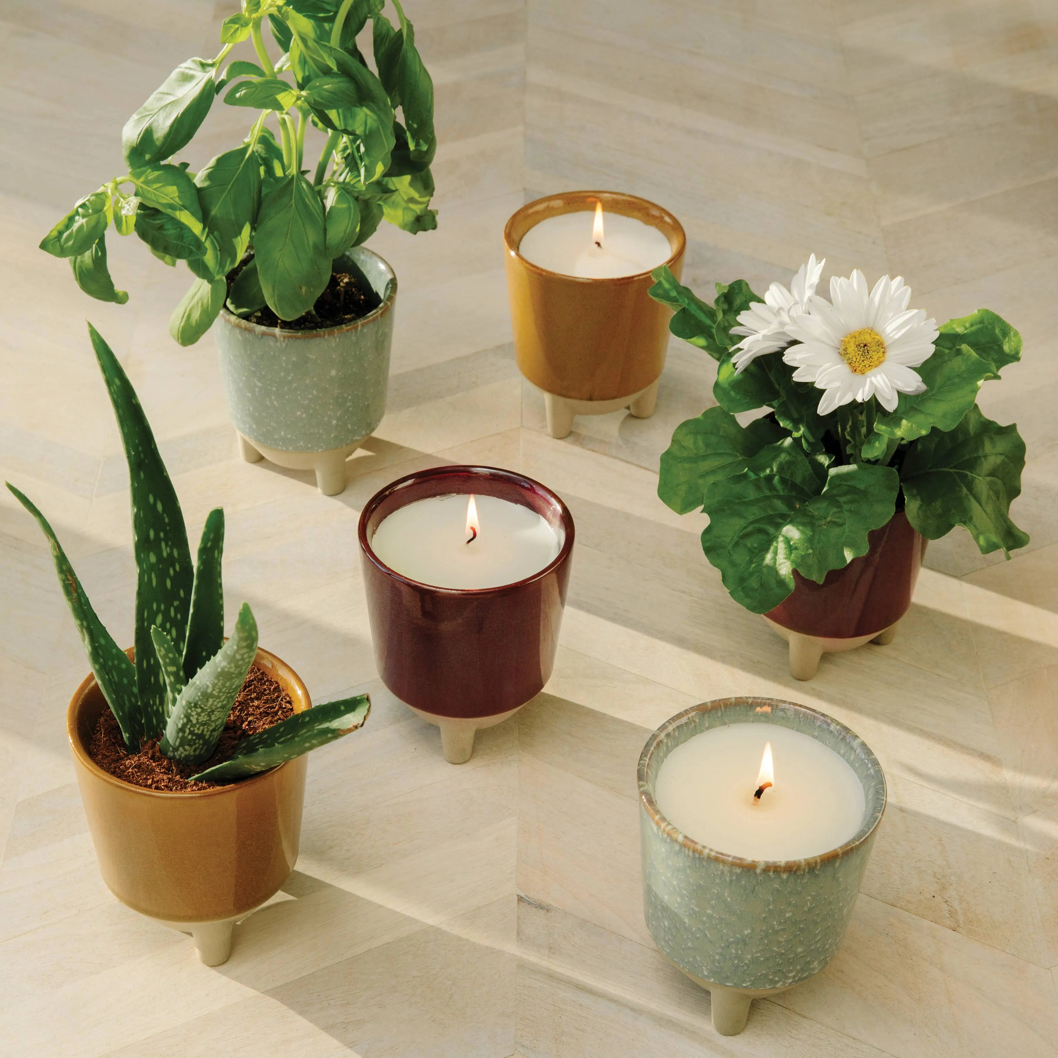 Glow & Grow 2-in-1 Candle + Grow Kit Modern Sprout