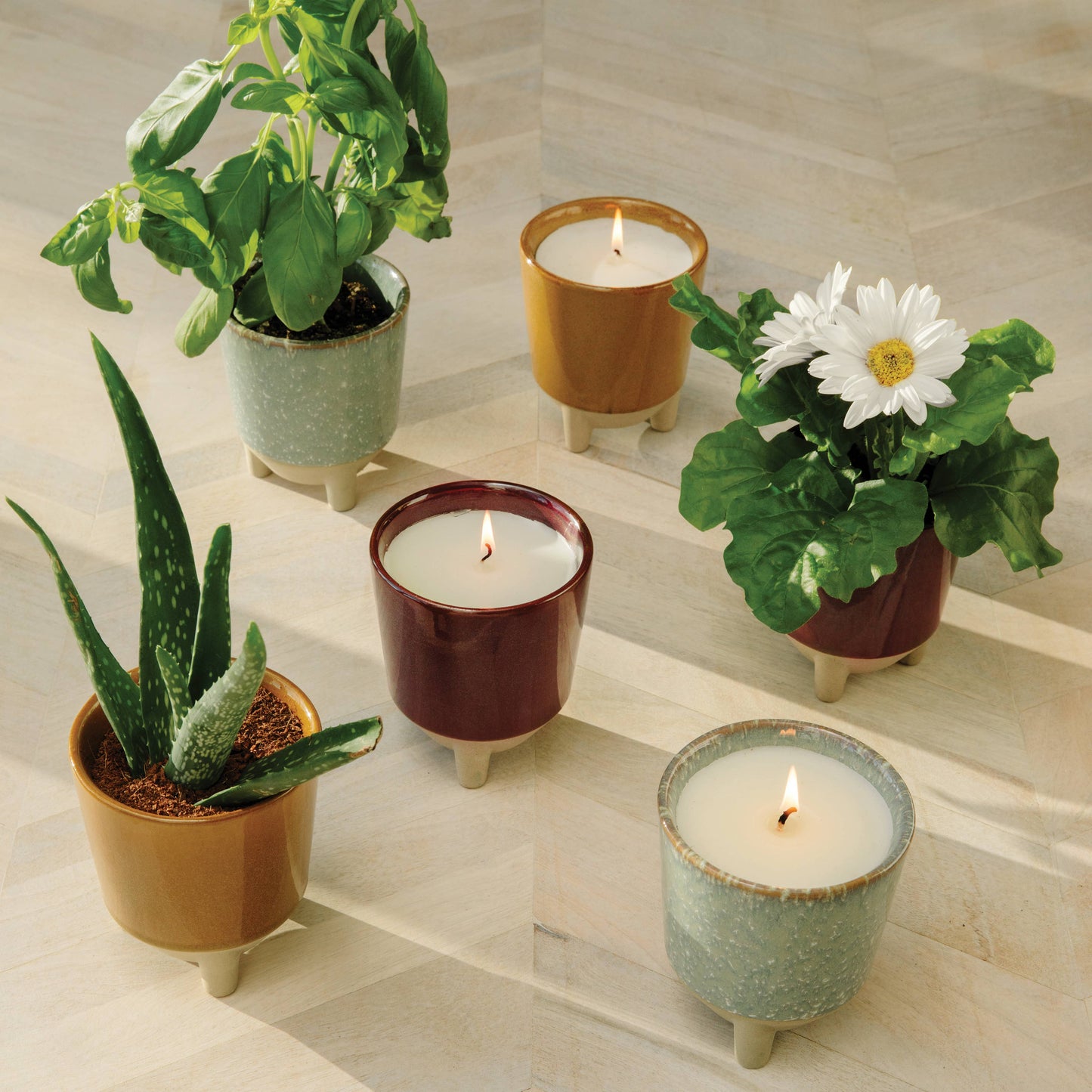 Glow & Grow 2-in-1 Candle + Grow Kit Modern Sprout