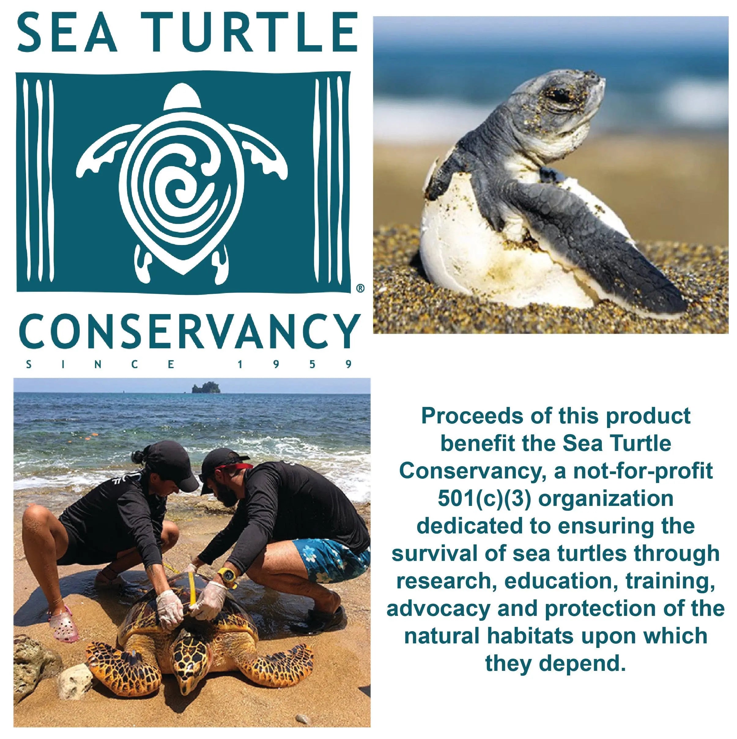 Sea Turtle Hatchling Plush in Egg – Conservation Fundraising