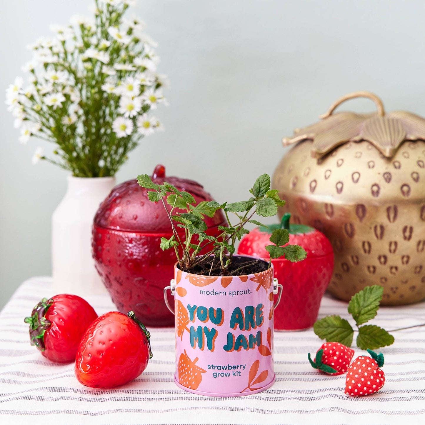 Complimentary Color Grow Kits Modern Sprout