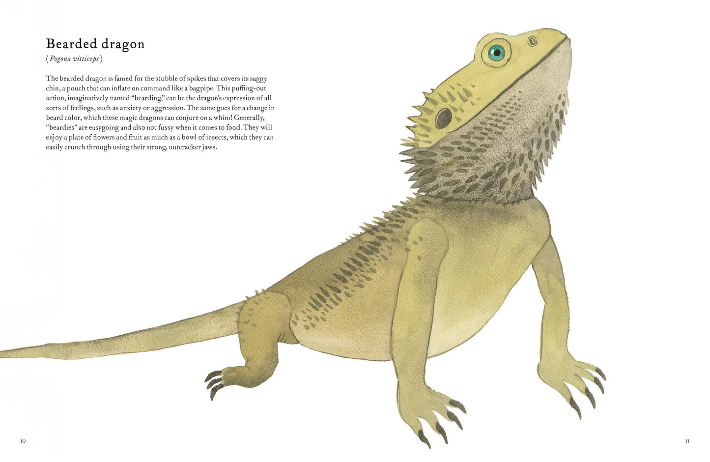 Colorful World of Reptiles Chronicle Books