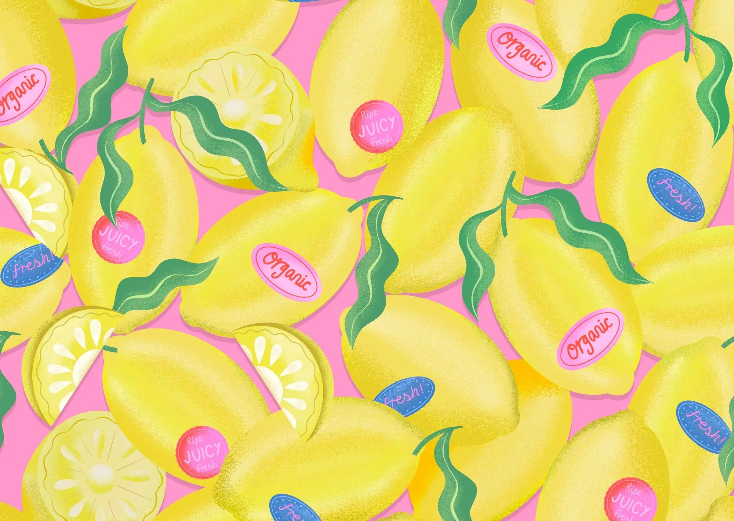 Paper Produce Citrus Notebook Collection Chronicle Books