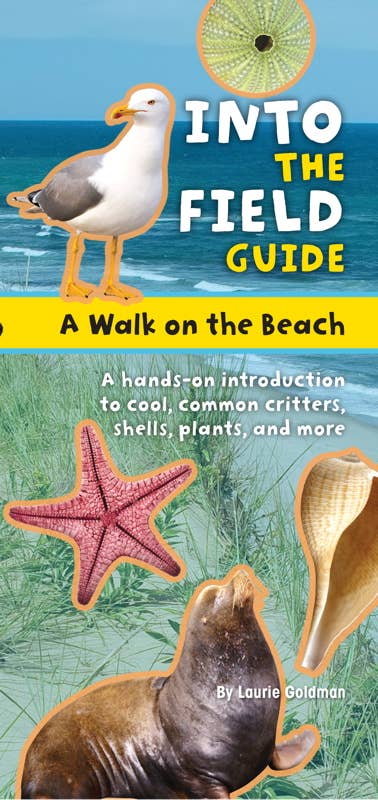 Walk on the Beach by Laurie Goldman Simon & Schuster