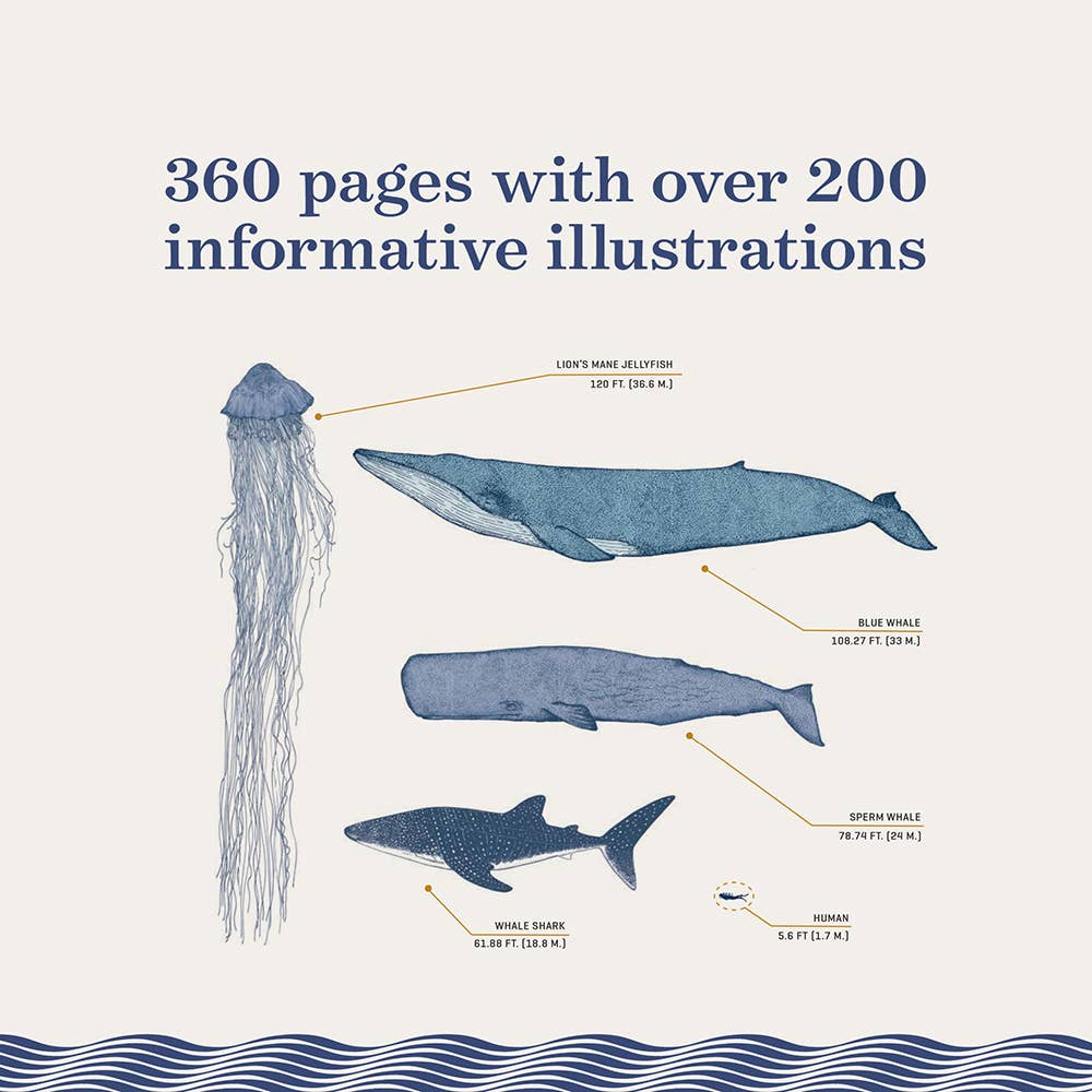The Ocean Chronicle Books