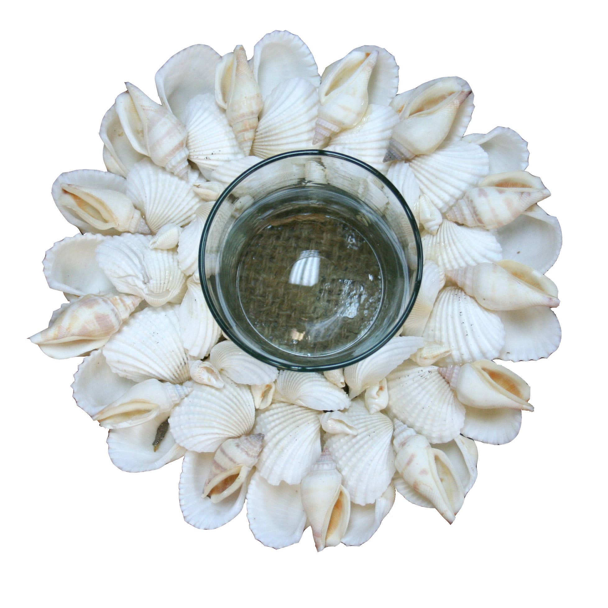 White Cockles Shell Glass Tealight Holder