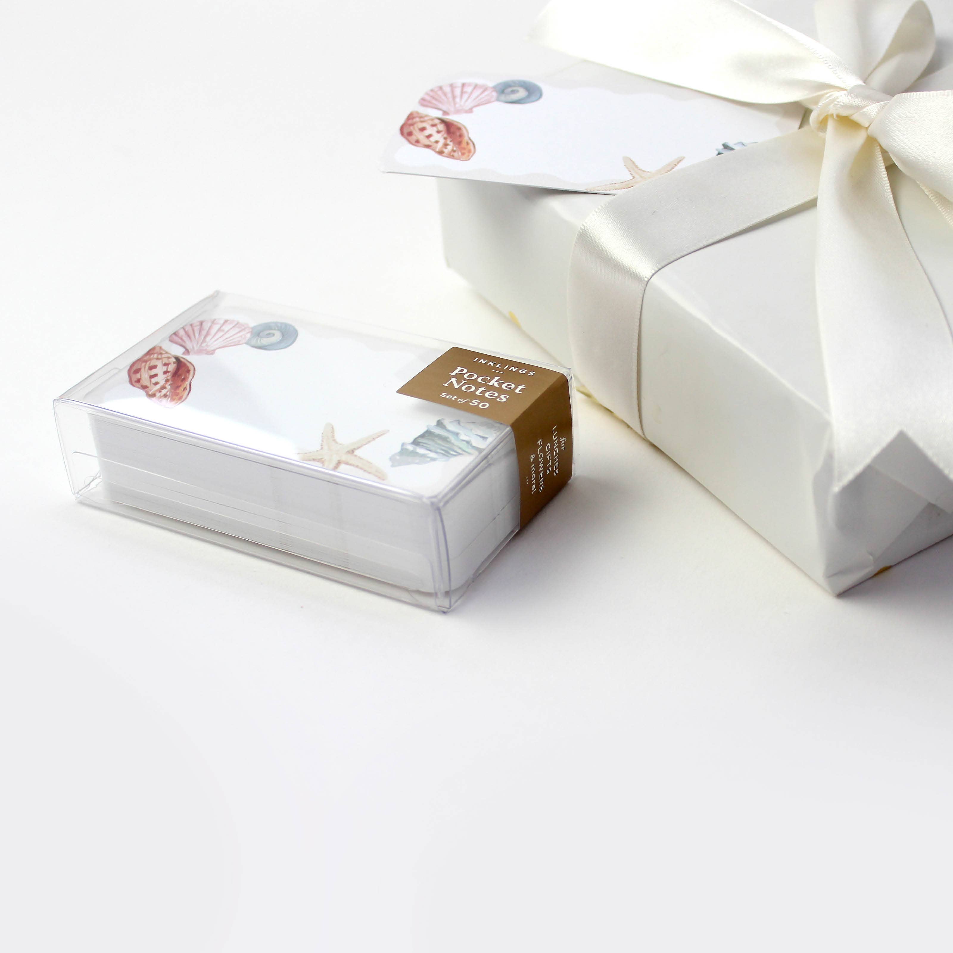 Seashells Pocket Notes