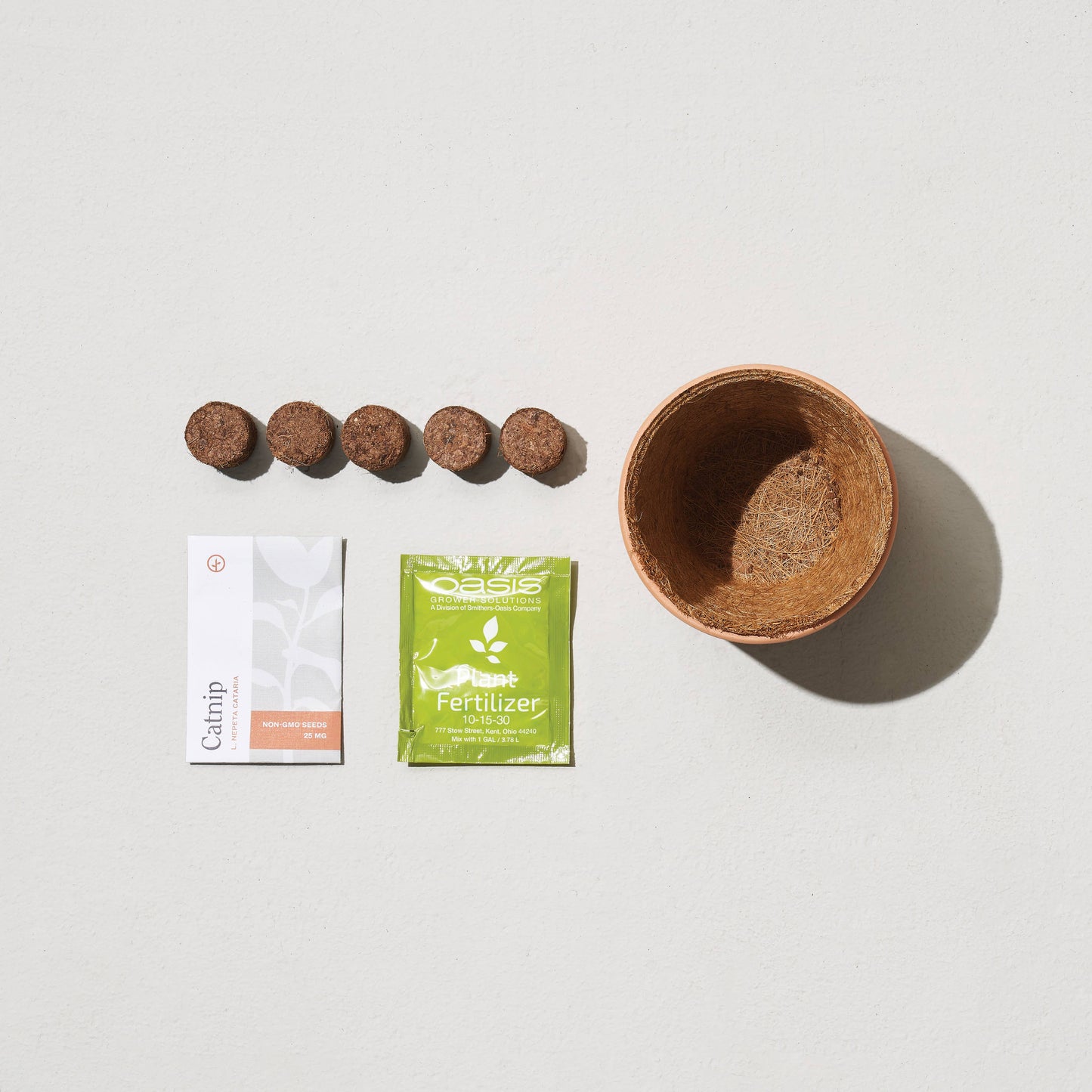 Tiny Terracotta Grow Kits Modern Sprout