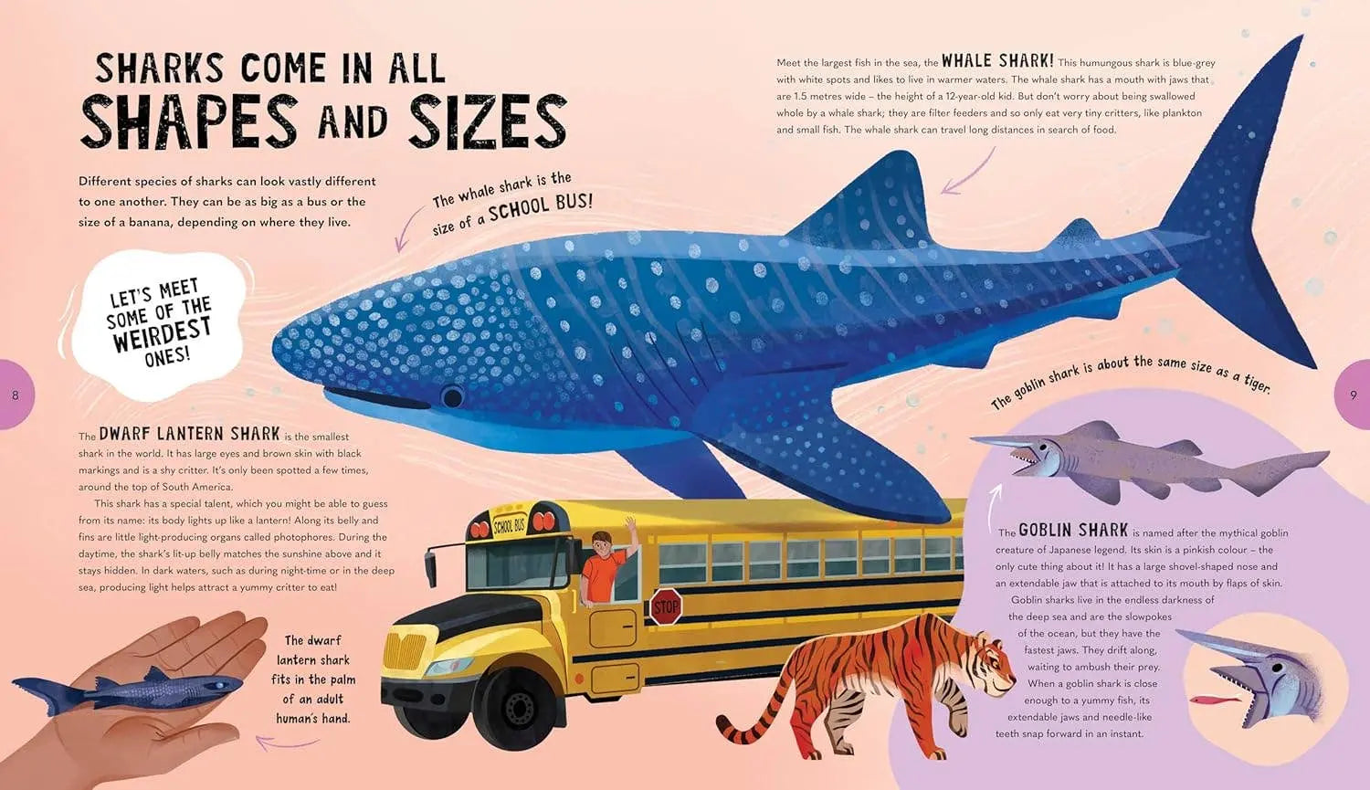 Sensational Sharks Chronicle Books