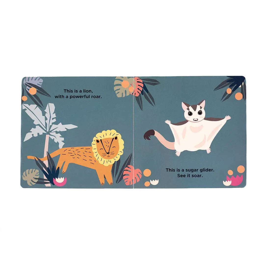 Zoo Friends Animal Board Book Emerson and Friends