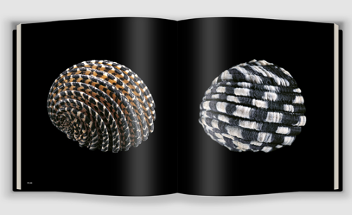 Shells by Paolo Portoghesi