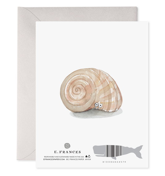 New Shell Greeting Card E. Frances Paper