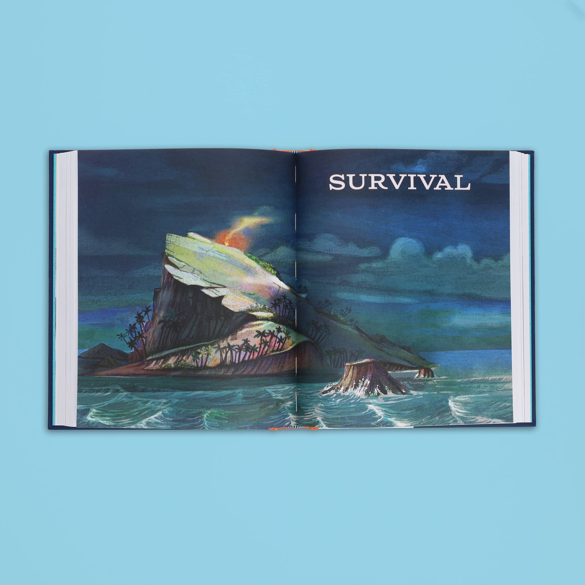 The Ocean Chronicle Books