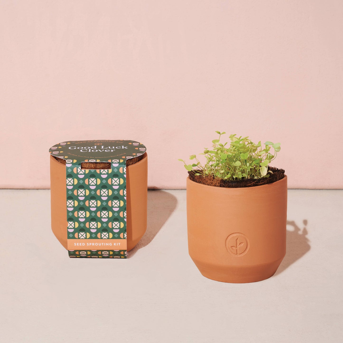 Tiny Terracotta Grow Kits Modern Sprout