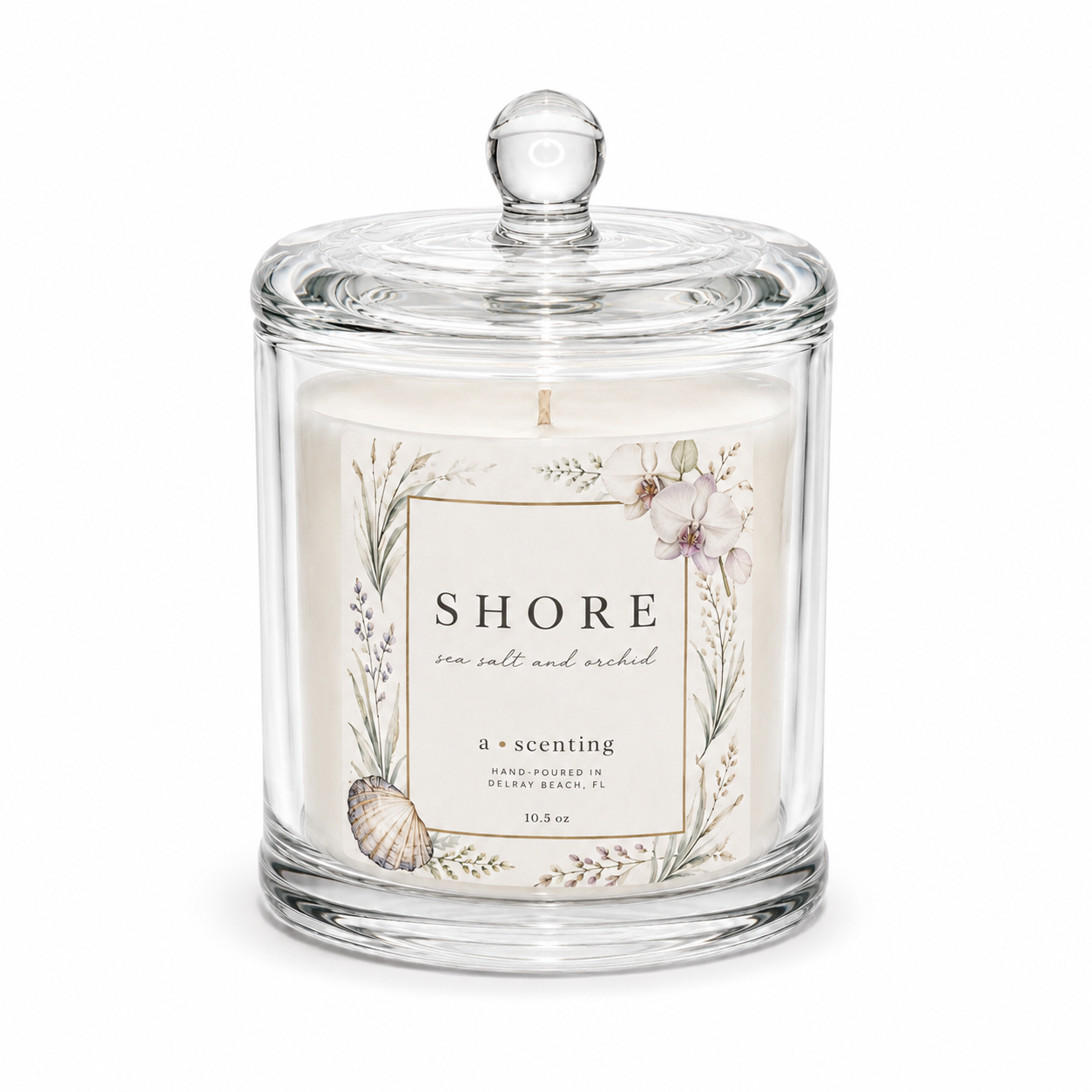 Shore Soy Candle | Sea Salt and Orchid Glass Dome Cloche