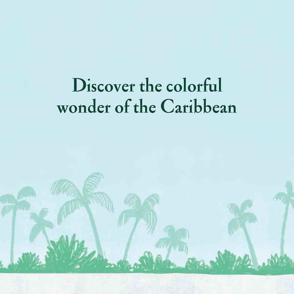 Over and Under the Coral Reef Chronicle Books
