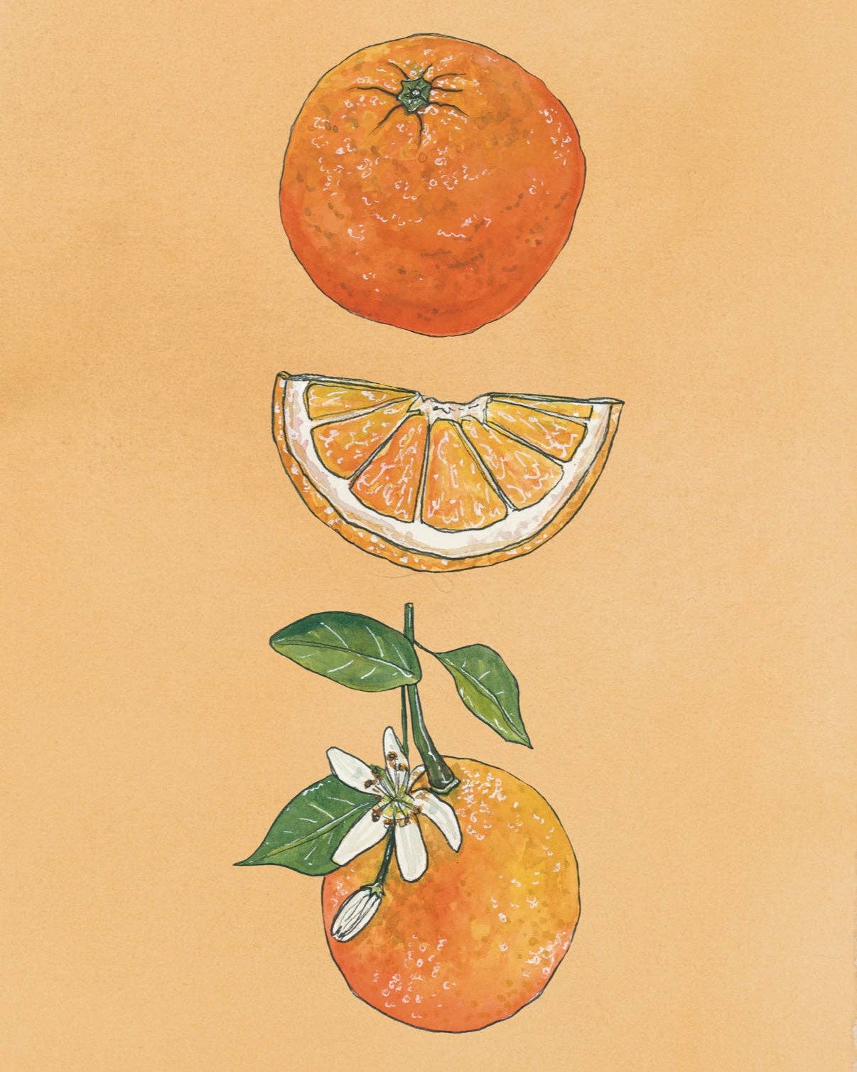 Oranges Art Print artxnikki