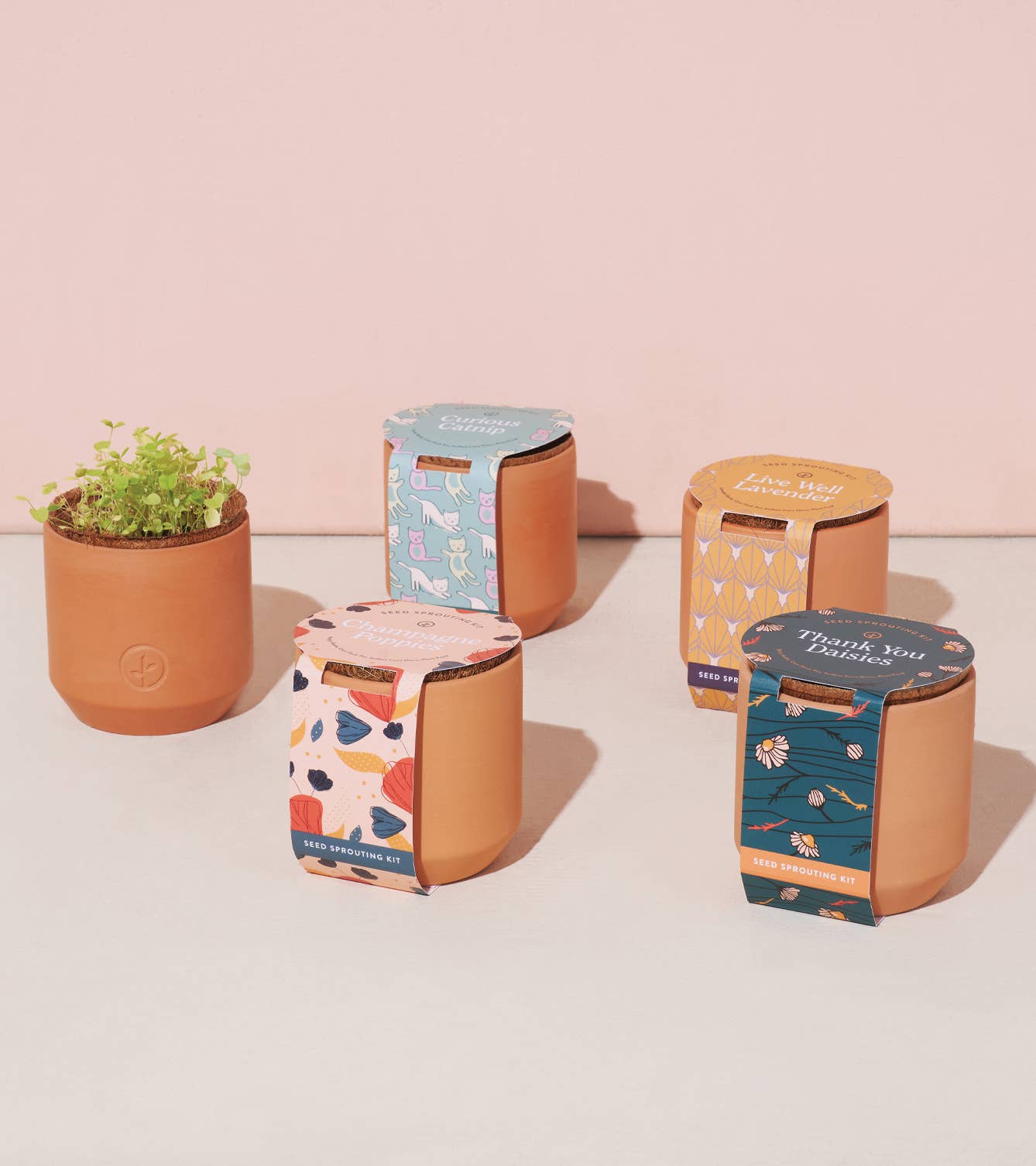 Tiny Terracotta Grow Kits Modern Sprout