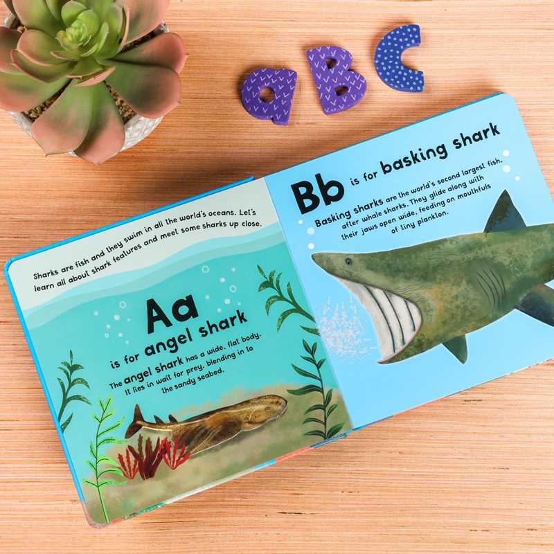 A-Z of Sharks