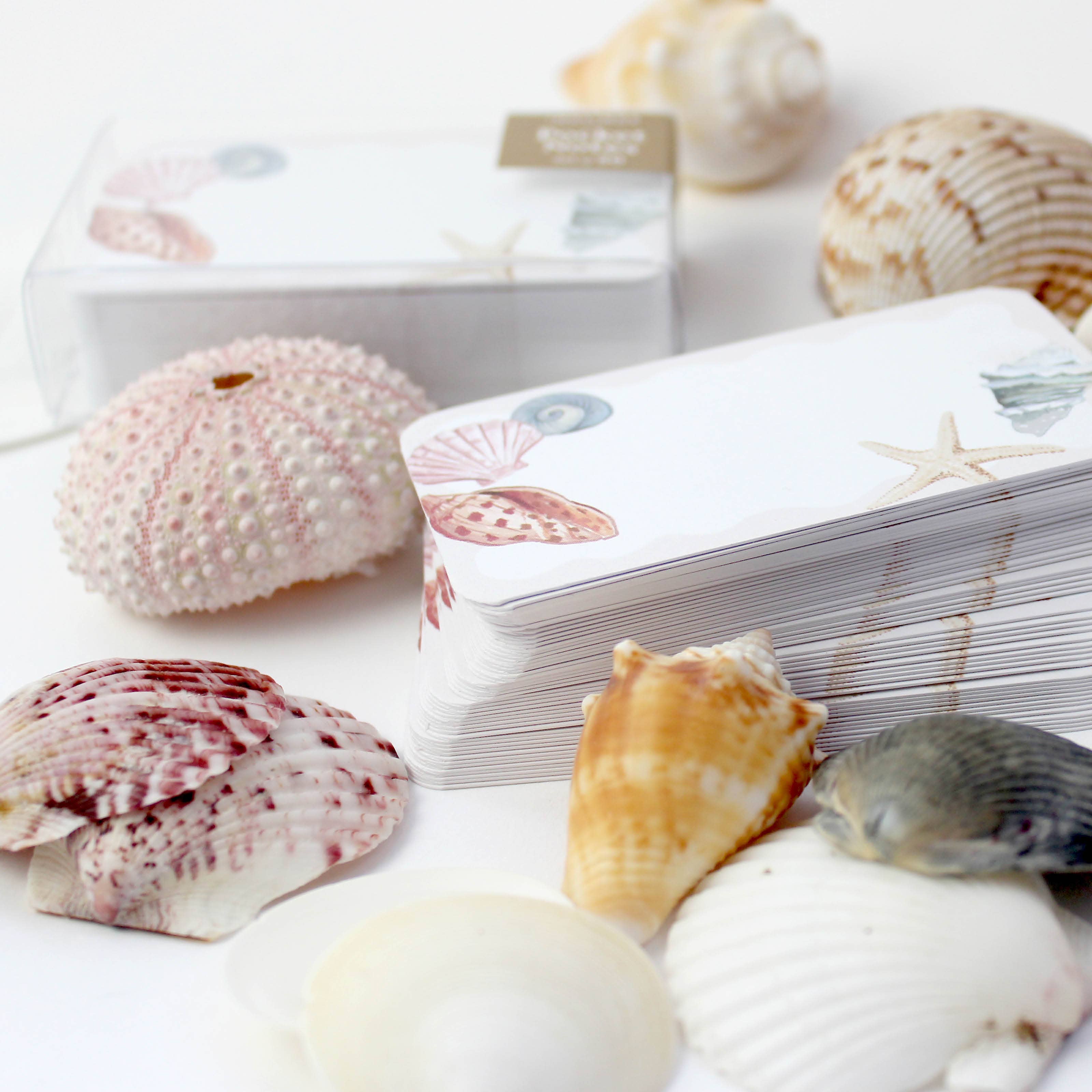 Seashells Pocket Notes