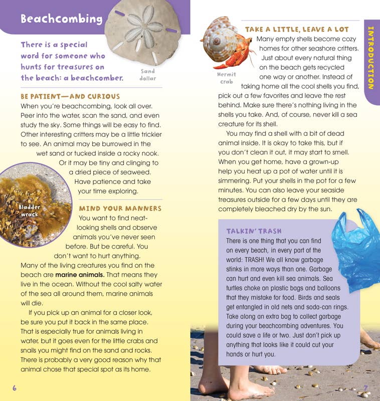 Walk on the Beach by Laurie Goldman Simon & Schuster
