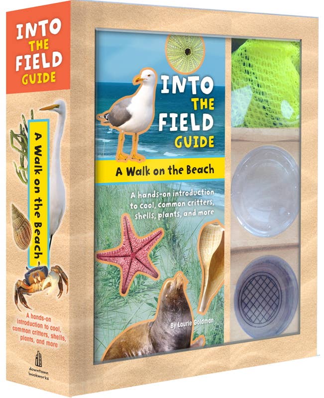 Walk on the Beach by Laurie Goldman Simon & Schuster