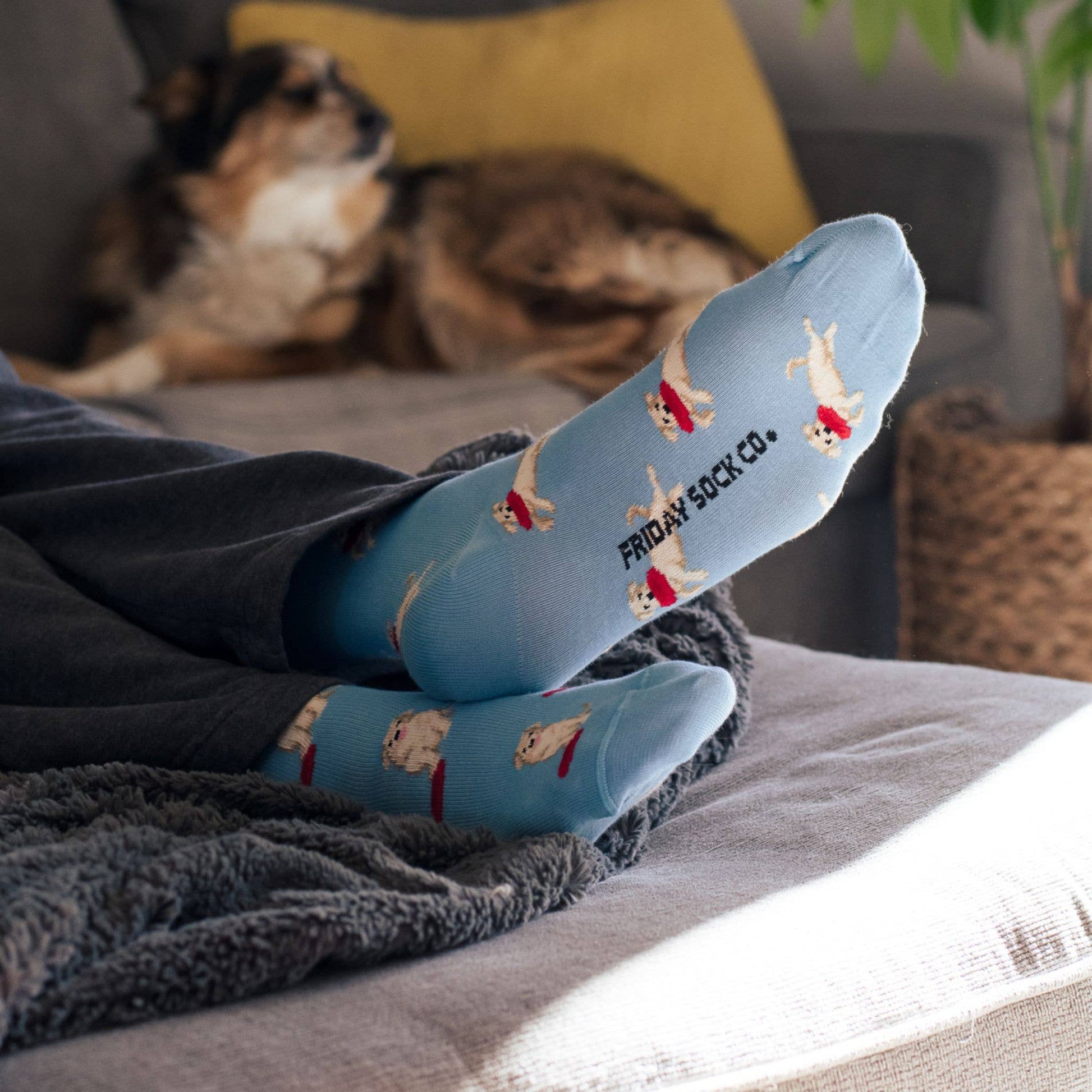 Dog & Frisbee Socks Mens Friday Sock Co.