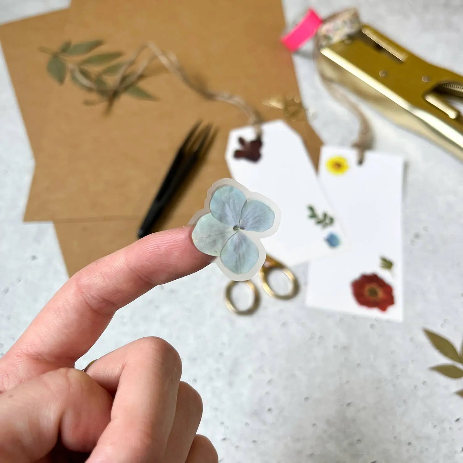 Pressed Flowers Sticker Sheet Botanopia USA - gifts , decor and cards for plant lovers