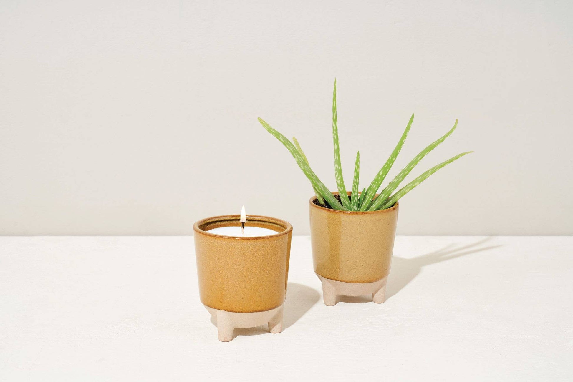 Glow & Grow 2-in-1 Candle + Grow Kit Modern Sprout