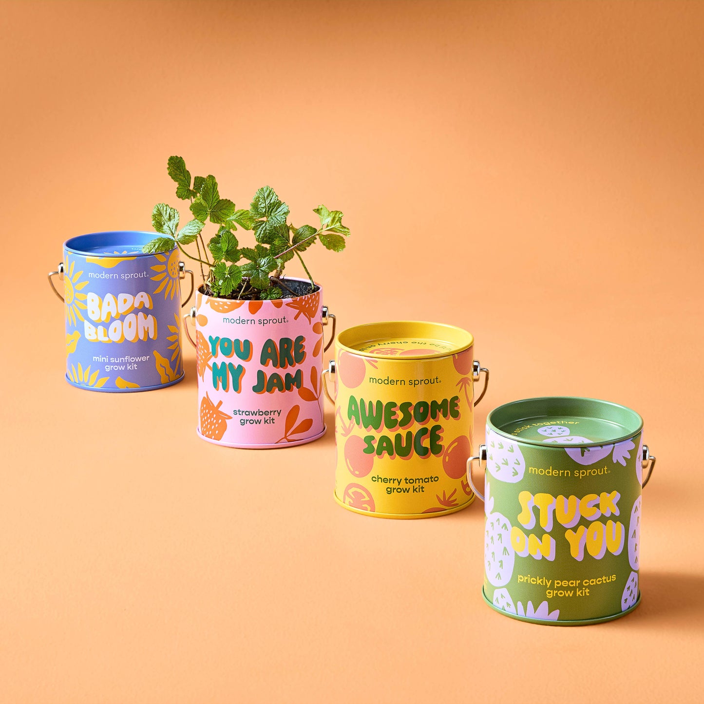 Complimentary Color Grow Kits Modern Sprout